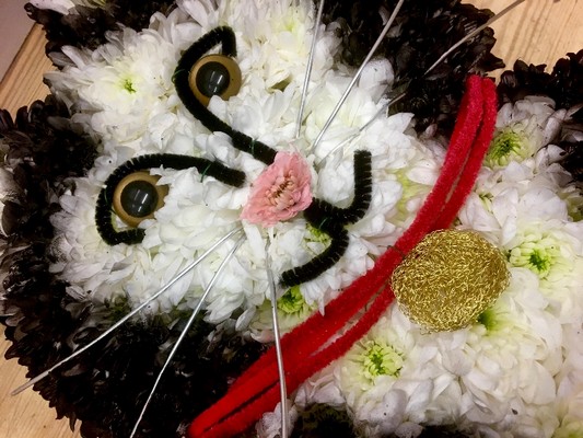Cat funeral tribute made with white chrysanthemum base, black spray detail, pipe cleaner and wire accents, 59 x 39 cm, other requested colourways available.