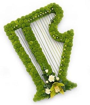 Irish harp-shaped funeral tribute made with vivid green Kermit chrysanthemum, finished with button and string detailing and a green floral focal, measuring approximately 55cm x 43cm.