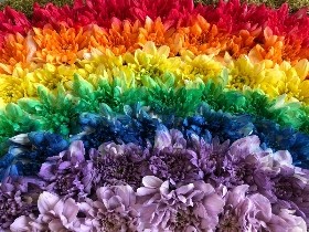 Rainbow-shaped funeral tribute made with red, orange, yellow, green, blue, purple, and pink sprayed chrysanthemums, finished with white cloud detailing, moss backing, and a ribbon edge, measuring approximately 36 inches by 24 inches.